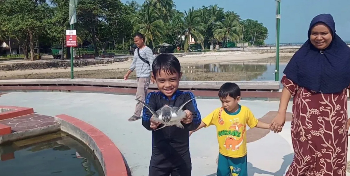 Menikmati Wisata Edukasi Penangkaran Penyu di Pantai Mutiara Carita Pandeglang